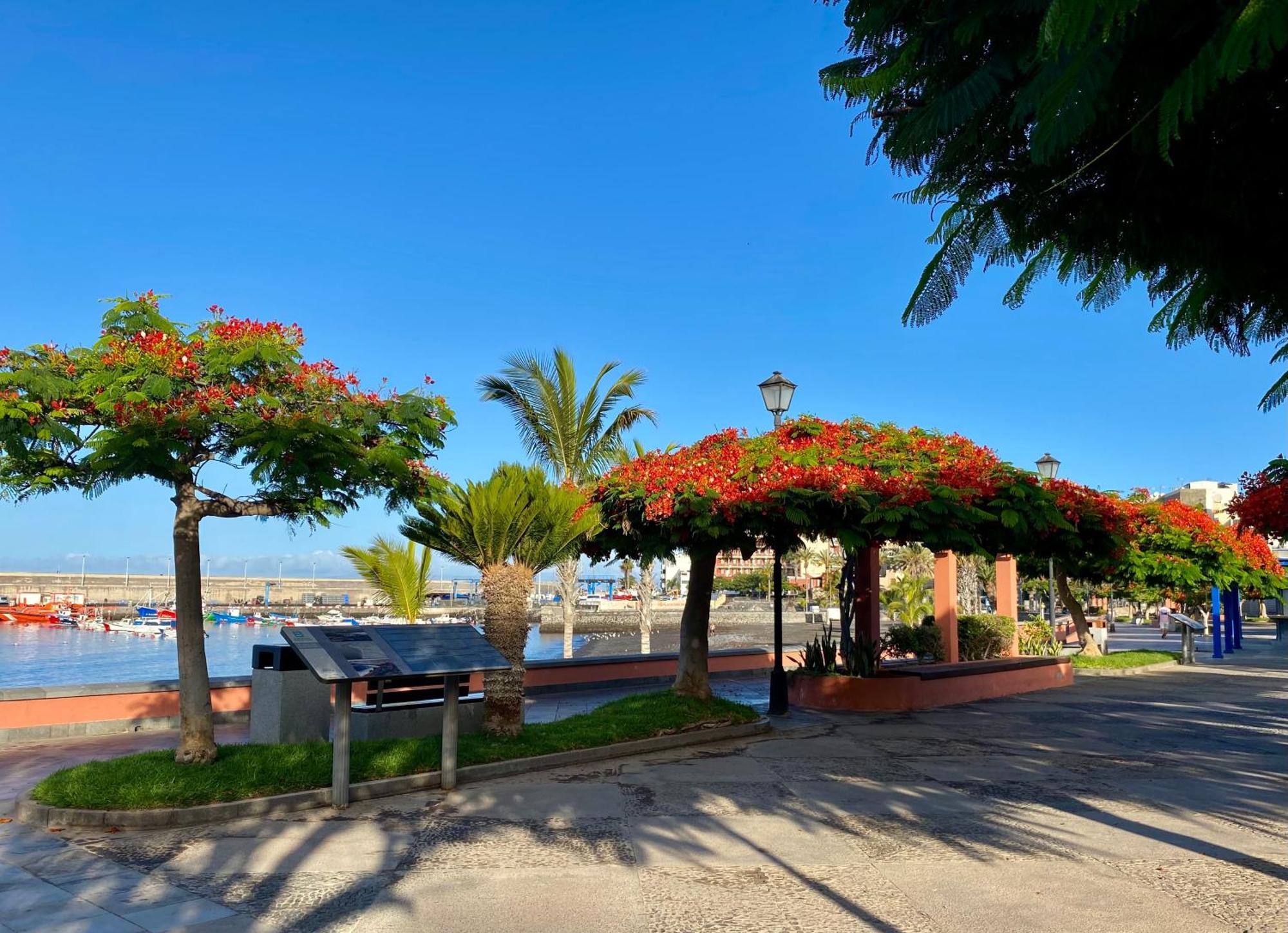Casa Antonio - Apartamento Luna Playa de San Juan  Exteriér fotografie
